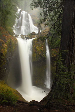 Photo, Falls Creek Falls, Gifford Pinchot National Forest, Oregon