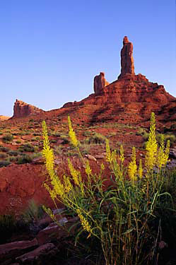 Valley Of The Gods State Park, Utah