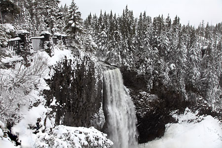 Salt Creek Falls near Willamette Pass Oregon Black and White Photograph