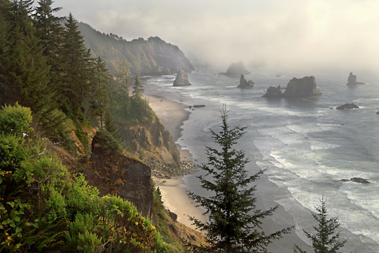Photograph by David Whitten - Southern Oregon Coast Beach Samuel Boardman State Park Oregon photographer David Whitten