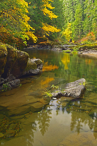 Steamboat Creek Autumn Oregon Photograph by David Whitten
