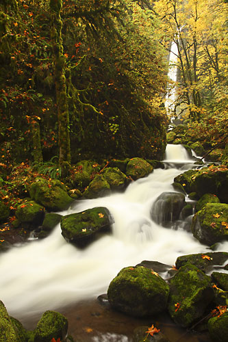 Elowah Falls Autumn Columbia River Gorge Oregon Waterfalls photographs