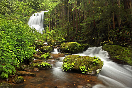 Upper Kentucky Falls Smith Fork Trail Oregon Coast Range Mapleton