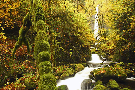 Elowah Falls Autumn Columbia River Gorge Oregon Waterfalls photograph