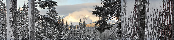 Winter Sunrise, Broken Top Mountain through the forest from Mt. Bachelor Oregon