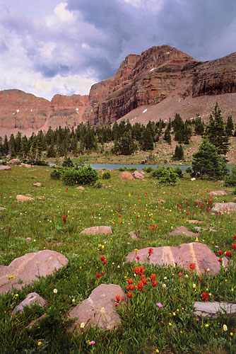 Dead Horse Lake, High Uintas Wilderness,  Uinta Mountains, Utah Nature Photographer David Whitten