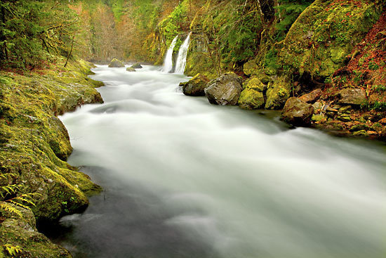 Salmon Creek Oregon Rivers
