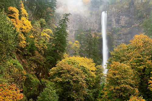 Oregon Waterfall Autumn Waterfalls