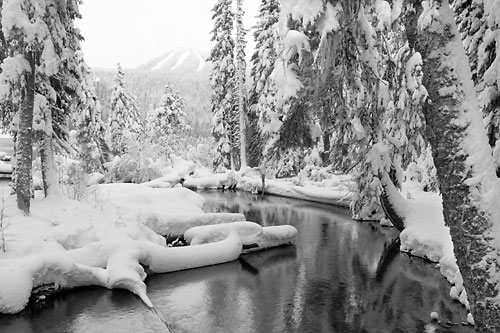 Trapper Creek, Cascade Mountains, Oregon limited edition print by photographer David Whitten Black and White Photograph