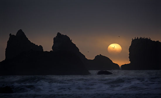 Bandon Beach, Oregon - Oregon coast photographer David Whitten Photography