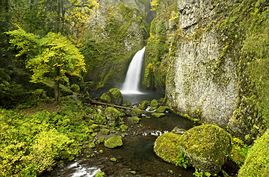 Rain Forest Falls Cascade Mountains Oregon Photgrapher David Whitten Photography