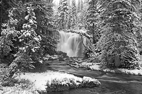 Fall Creek Falls, Cascade Mountains, Oregon - Black and White Photography