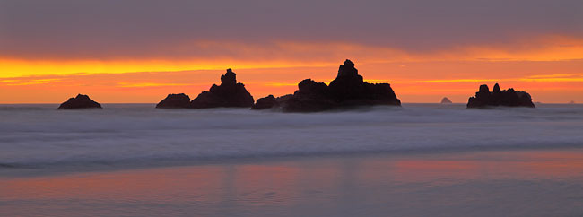 Oregon Coast Beach Sea Stacks Photograph by David Whitten