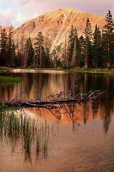 Spread Eagle Peak