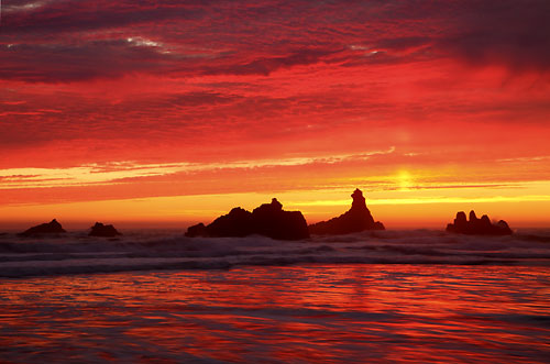 Oregon Coast photographer Samuel Boardman State Park - David Whitten Photography