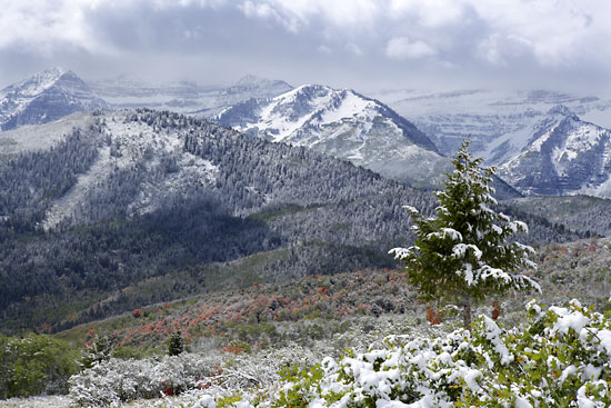 Landscape Photography, Mt. Timpanogos, Wasatch Mountains, Utah photo - Photographer David Whitten