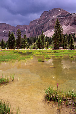 Dead Horse Lake, High Uinta Wilderness, Wasatch National Forest, Utah