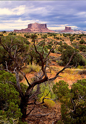 Monitor and Merrimack, Moab, Utah, BLM public land