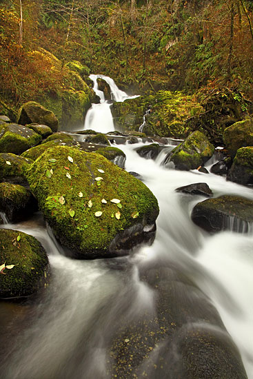 Sweet Creek Waterfalls Oregon Coast Range photography by David Whitten
