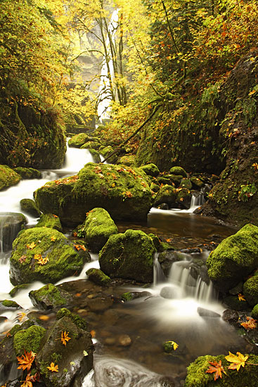  Waterfall Photo - Elowah Falls Columbia River Gorge Oregon Waterfalls photographs
