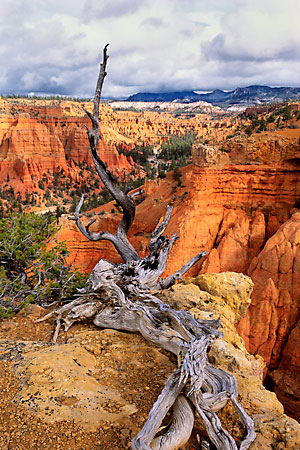 Secret Canyon near Bryce Canyon Utah photograph