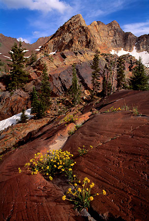 Glacier Polish Quartzite Wasatch Mountains photography Utah