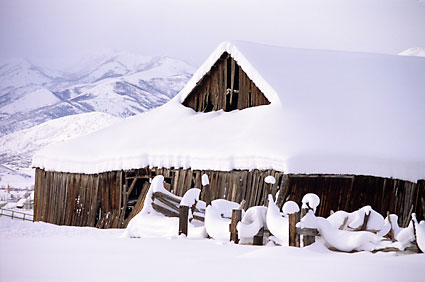 Winter Barn, Heber, Utah David Whitten Photo