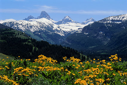 Teton Range photo from Grand Targhee Grand Teton National Park Wyoming