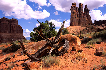 Three Gossips Arches National Park Near Moab Utah photograph