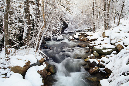 Big Cottonwood Creek Wasatch Mountains Utah