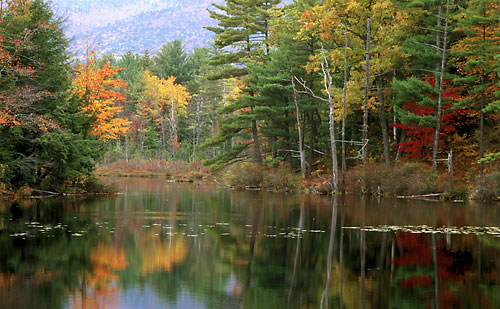 Red Eagle Pond White Mountains New Hampshire White Mountain National Forest Foliage