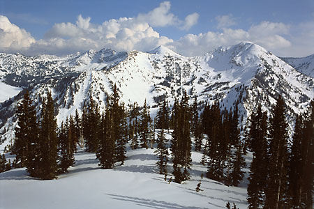 Alta Ski. Wasatch Mountains Utah Little Cottonwood Canyon, Baldy, Sugarloaf, Supreme