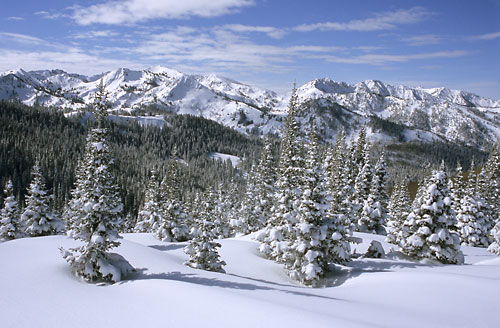 Brighton and Solitude from Jupiter Bowl, skiing at Park City, Utah
