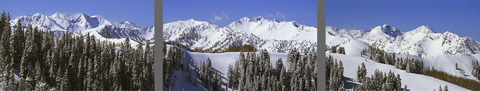 Photograph from The Canyons showing Baldy Snowbird Cardiac Bowl Dromedary and Twin Peaks Wasatch Mountains Utah