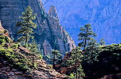 Zion Canyon, Zion National Park, Utah photograph, Photograph