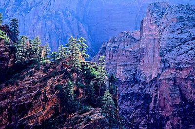 Zion Canyon, Zion National Park photo, Utah, Photograph