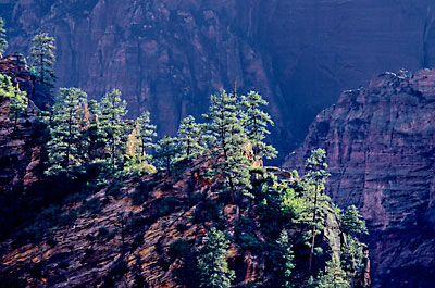 Zion Canyon, Zion National Park, Utah, Photograph