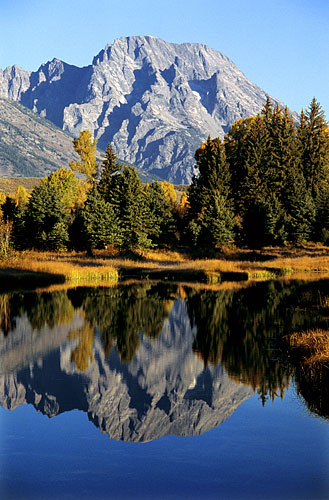 Beaver Pond - Grand Teton National Park photograph, Mt. Moran Wyoming Photographer David Whitten