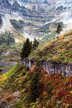 Primrose Cirque Mt. Timpanogos photo Wasatch Mountains Utah