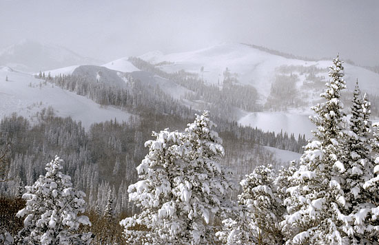Deer Valley Ski Resort - Empire Bowl, Park City Utah Ski Resorts, Wasatch Mountains  