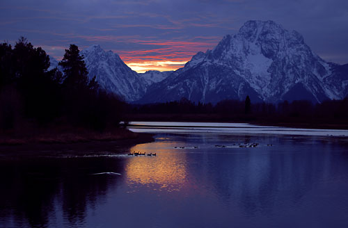 Oxbow Bend, Snake River, Mt. Moran and a gaggle of geese, Grand Teton National Park photograph, Wyoming