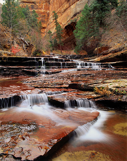 The Subway, Left Fork, North Creek Great West Canyon, Zion National Park photo, Utah