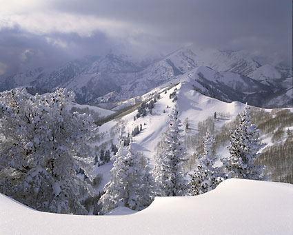 Big Cottonwood Canyon Mt. Raymond and Gobbler's Knob Wasatch Mountains Utah