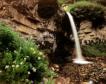 Waterfall and Wildflowers Mt. Timpanogos photography Wasatch Mountains Utah