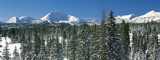 Uinta Mountains Utah
