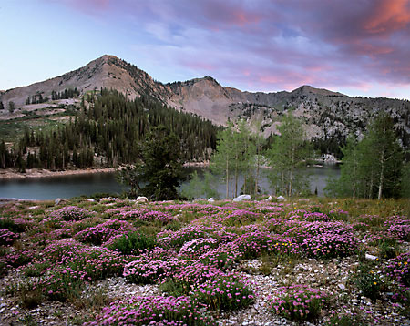 Wolverine Cirque Summer Twin Lakes Mt. Millicent Wasatch Mountains, Utah