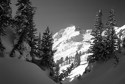 Superior Peak, Grizzly Gulch, Wasatch Mountains Utah Black and White Photograph