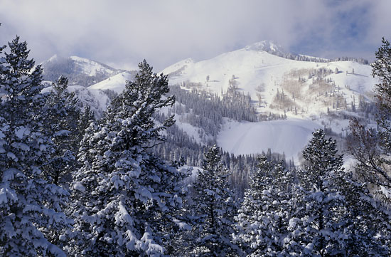 Empire Bowl, Daly Bowl, Skiing at  Deer Valley Resort, Utah