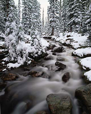 lost creek Uinta Mountains, Utah 