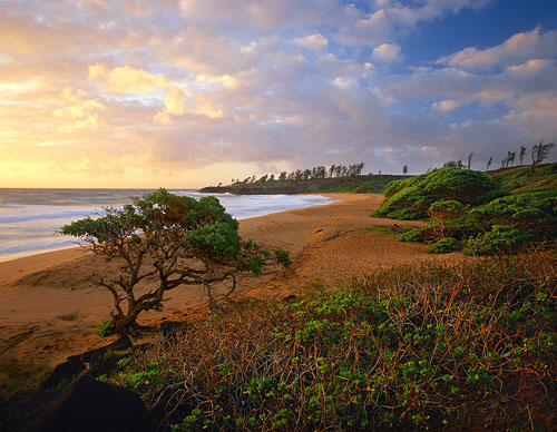 Donkey Beach photo, Kauai, Hawaii photography